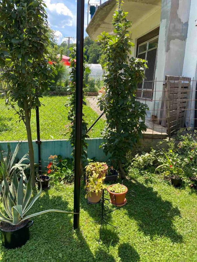 Joca Apartment Баина Баща Екстериор снимка
