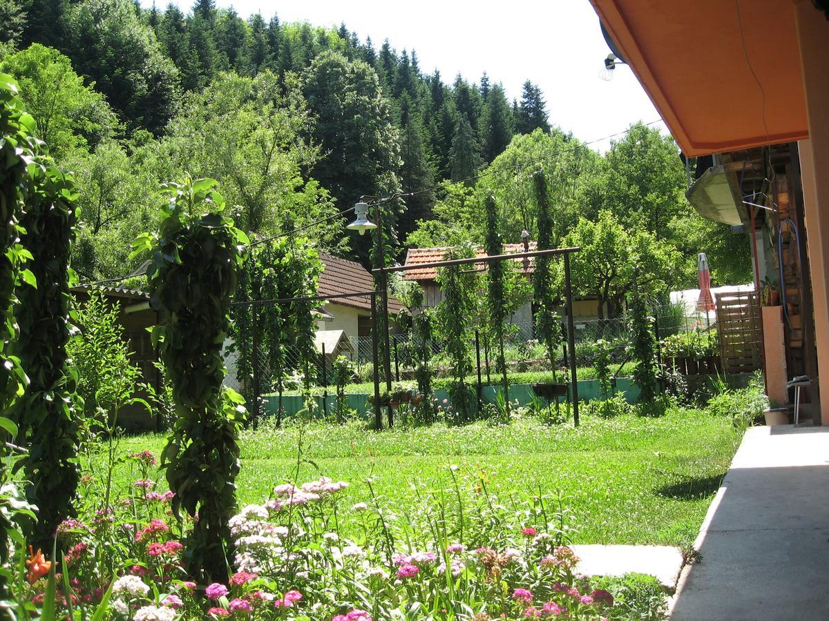 Joca Apartment Баина Баща Екстериор снимка